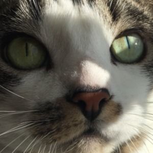 Meet your Posher, Riley